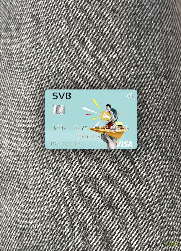 USA SVB Financial Group carte visa photolook recto